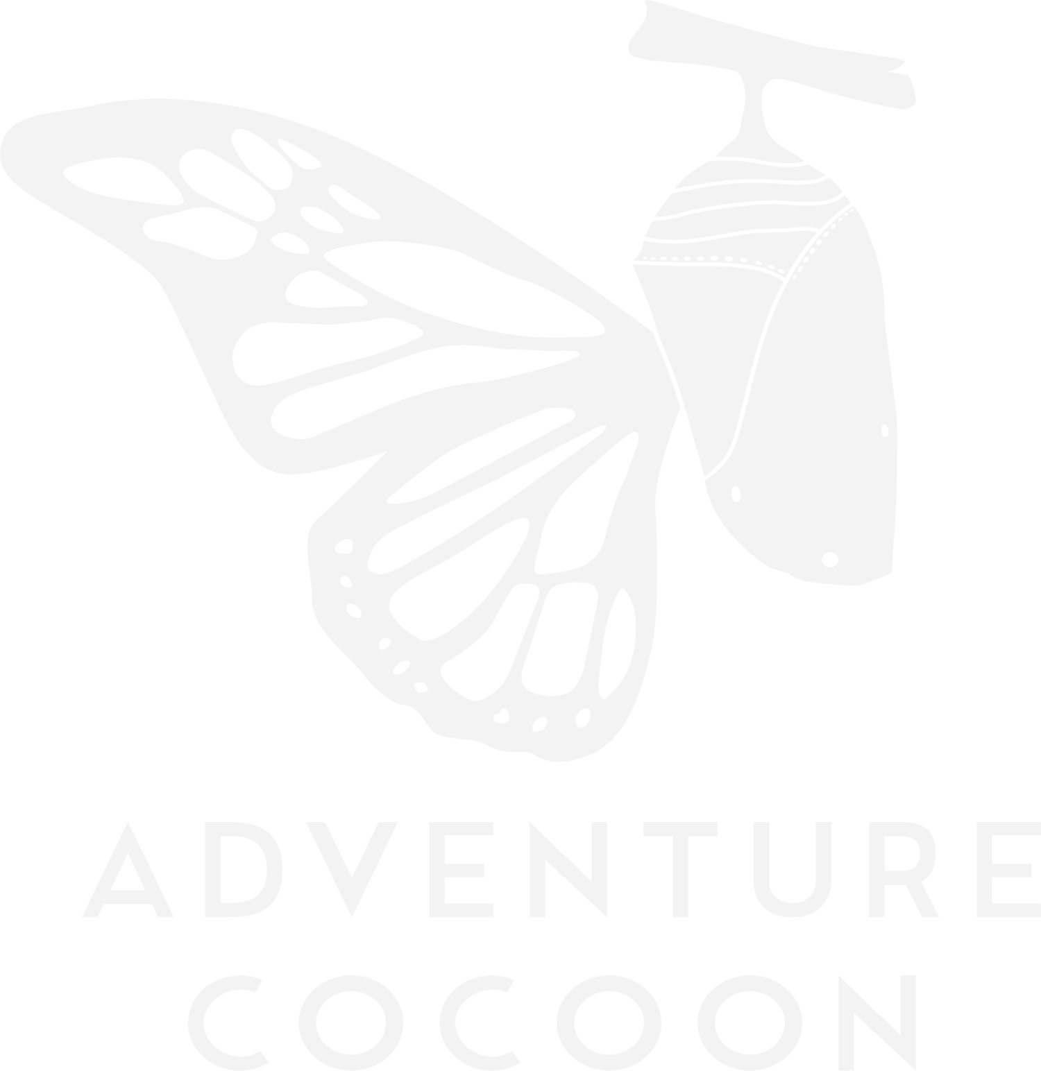 Adventure Cocoon