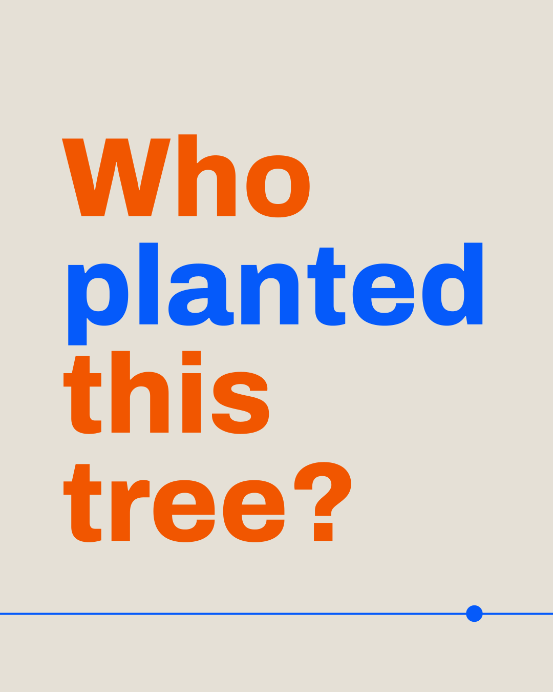 WOC Reflection: Who planted this tree?