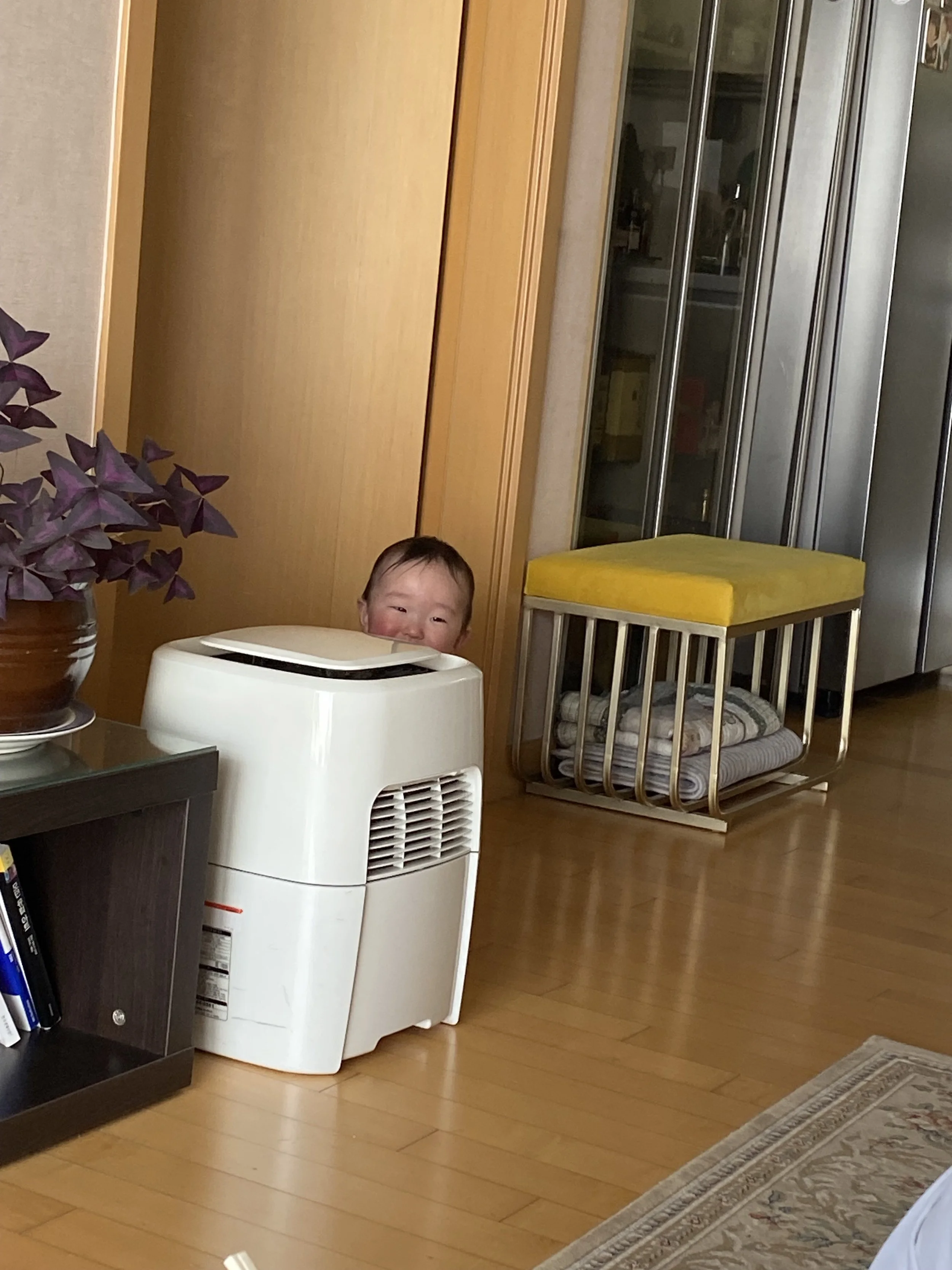 IMG-7335.jpg