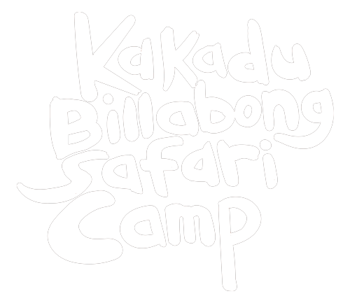 Kakadu Billabong Safari Camp