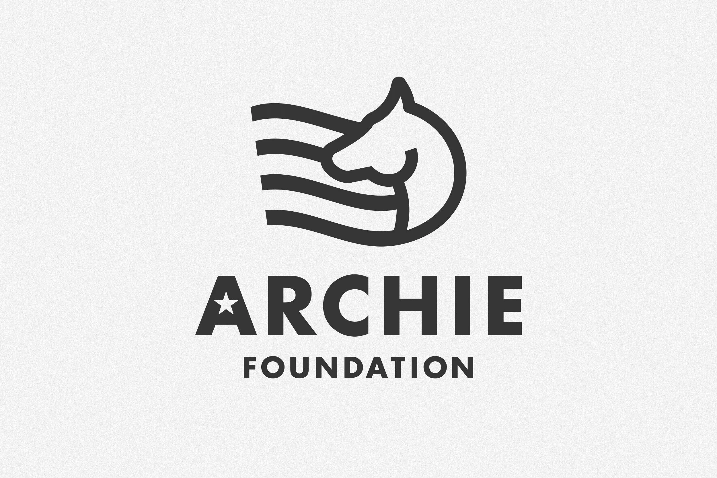 Archie Foundation Therapeutic Horsemanship for Veterans