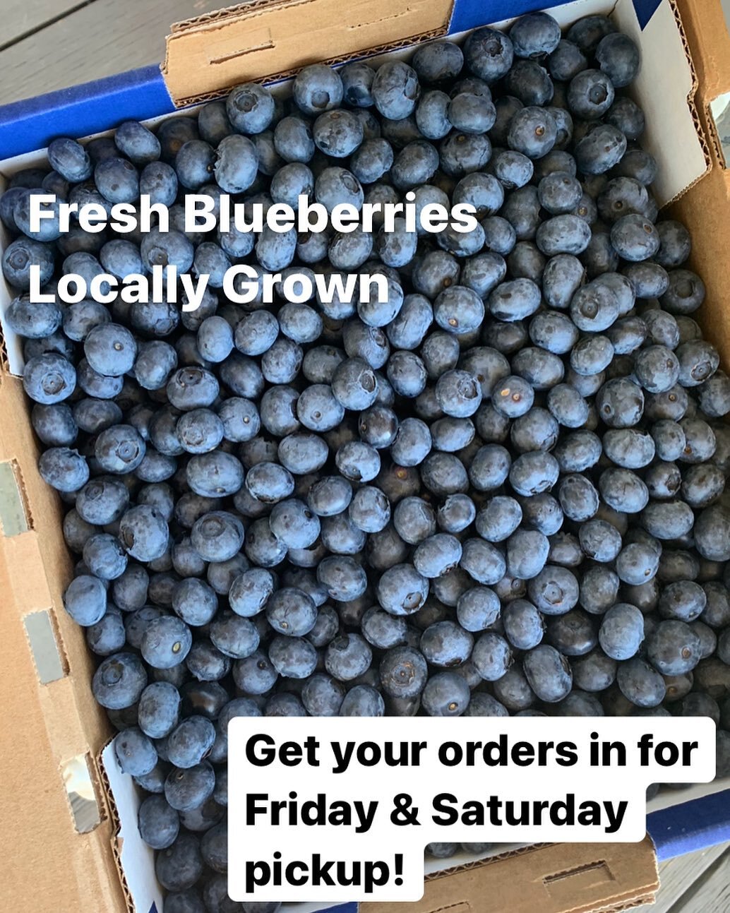 Freshly picked every day for your online orders!
Order at www.portguichonfarms.com