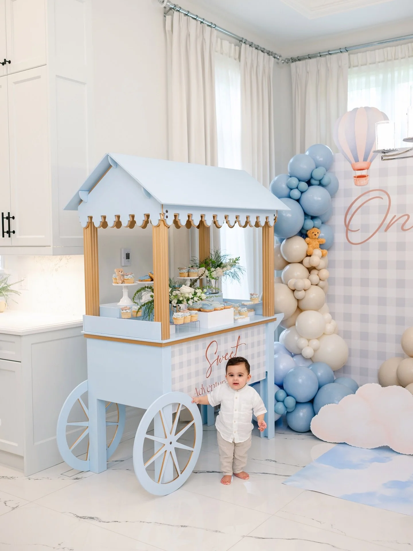 Up up and away ☁️ Happy first Birthday Amaan 
•
@table.matters 
@treatsbyfemme 
@cuttothecakee 
@balloon.treats 
@sohosweetcarts 
@ambreenla 
.
.
.
.
.
.
.
.
.
.
.
.
.
#firstbirthdayparty #familyphotography #familyphotography #torontofamilyphoto