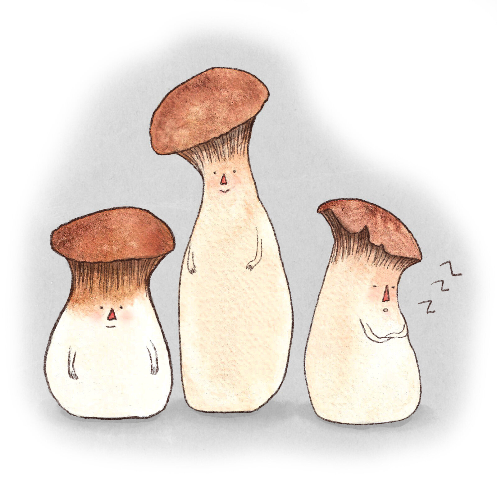 project1_mushroomspot1.jpg