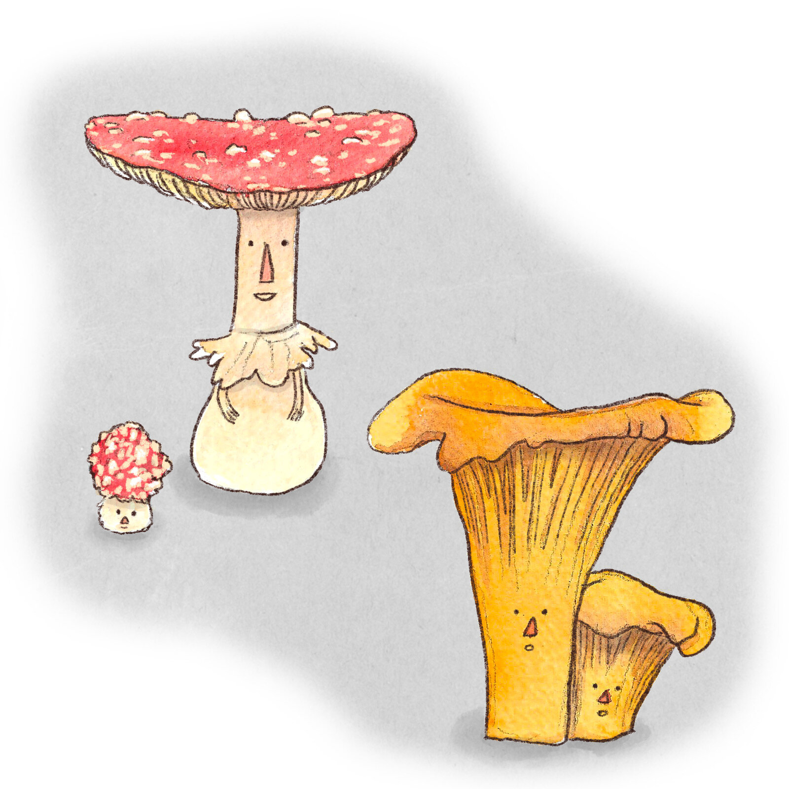 project1_mushroomspot2.jpg