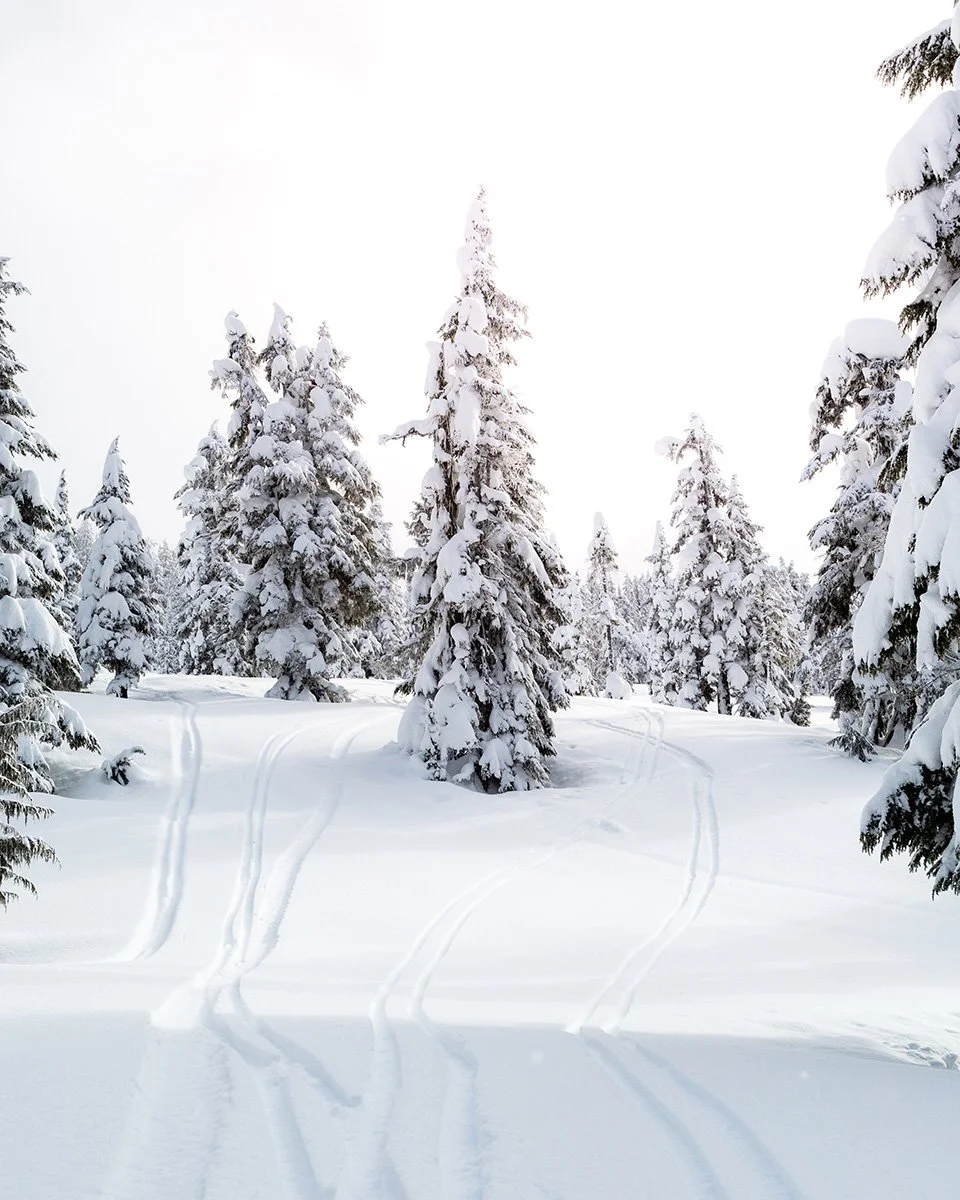 Photographer in Vancouver | Landscape Photography