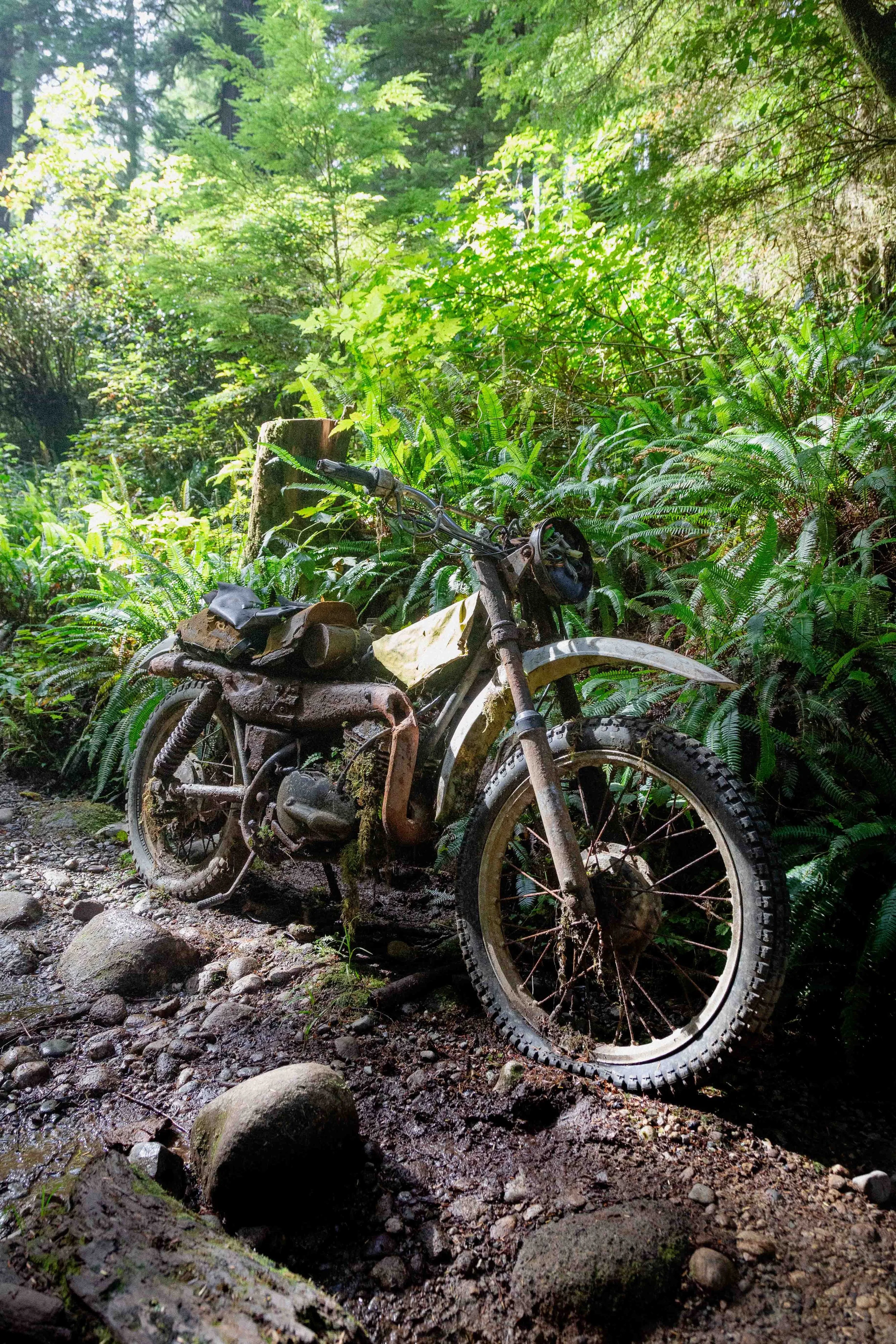 Photographer in Vancouver | Adventure Photographer