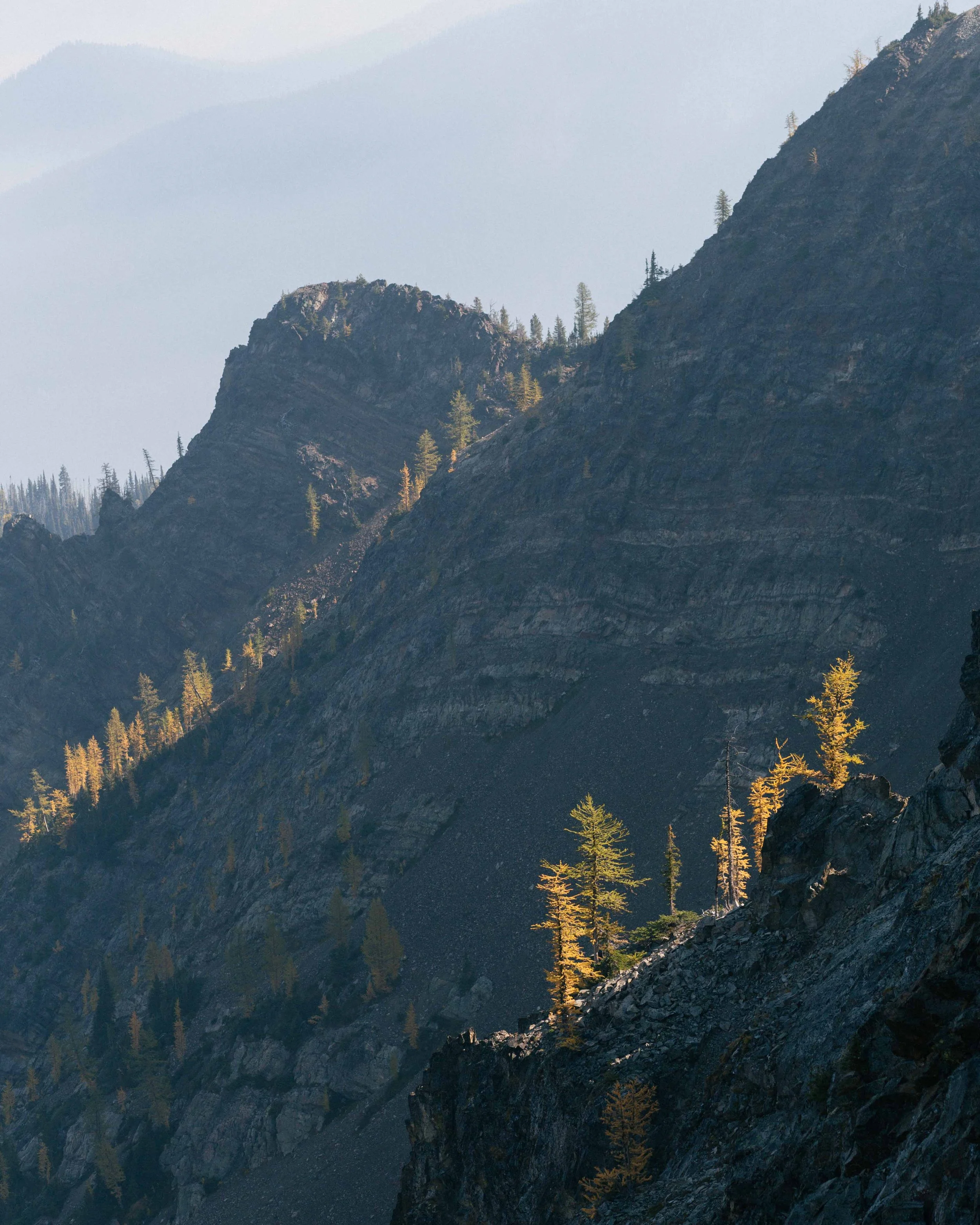 Simon Havenhand Photography-Larches-10.jpg