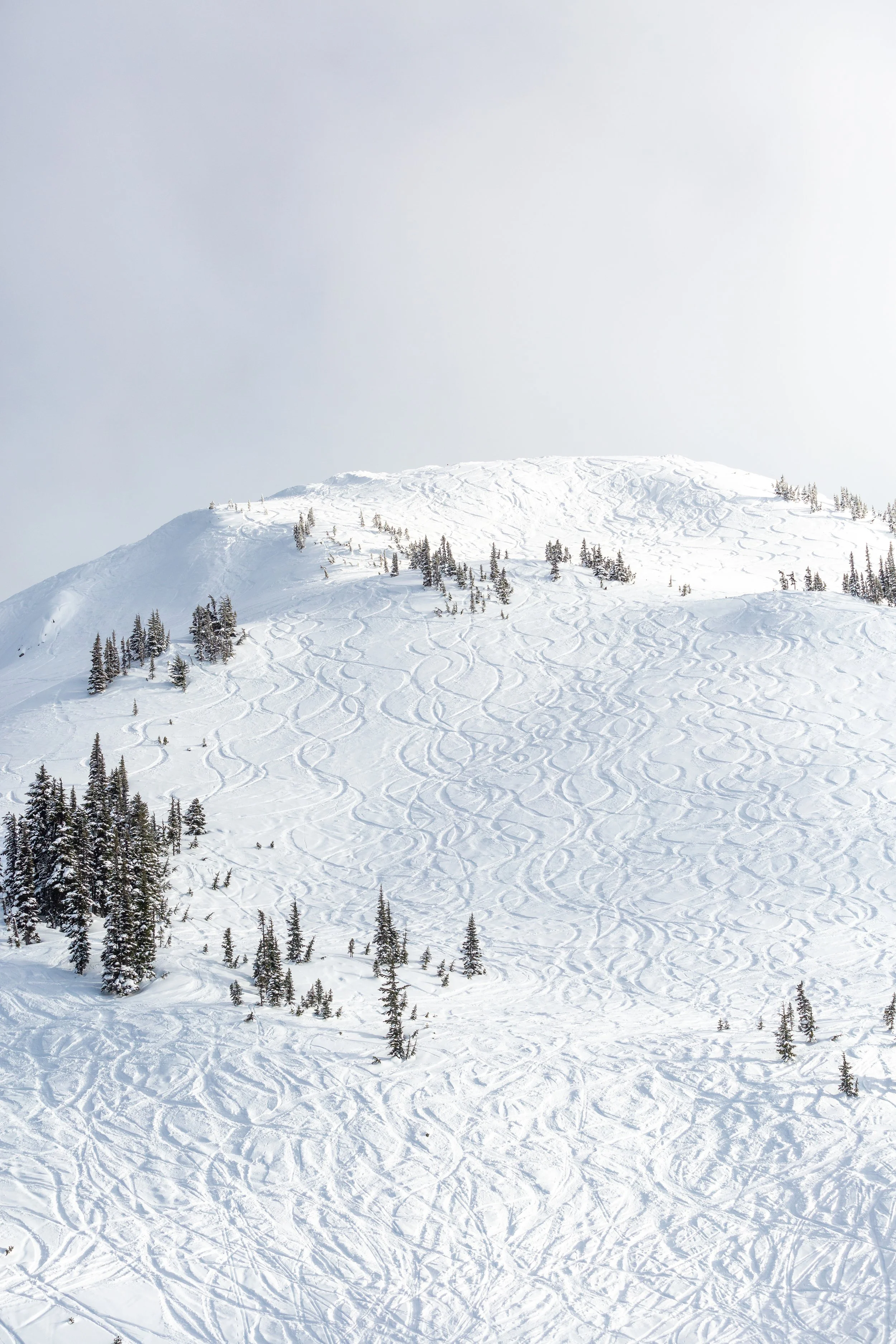 MSAA - FEB2021 - Simon Havenhand-110.jpg