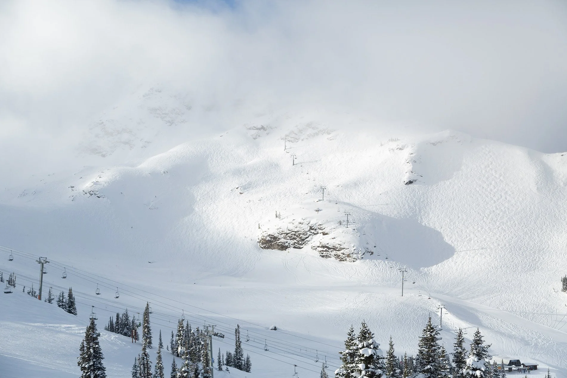 MSAA - FEB2021 - Simon Havenhand-3.jpg