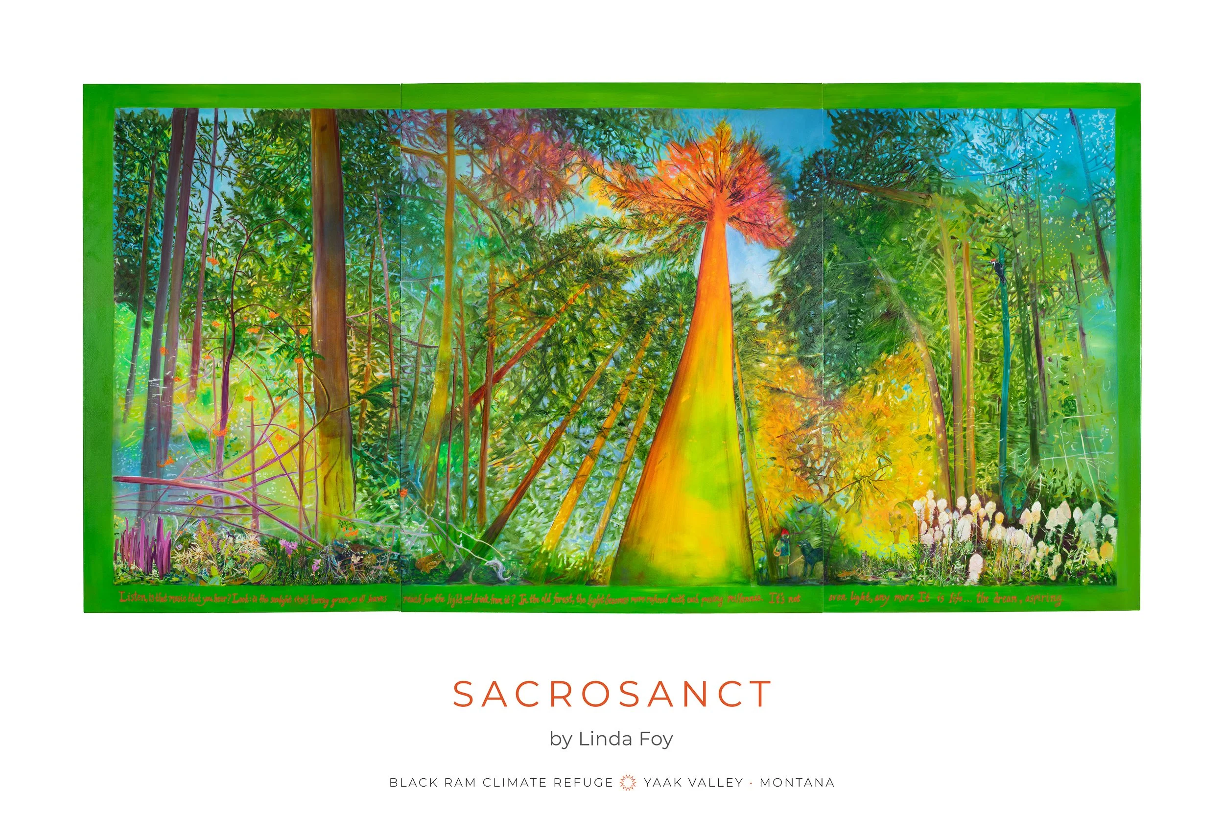 LF Sacrosant vF 30 x 20 F copy.jpg