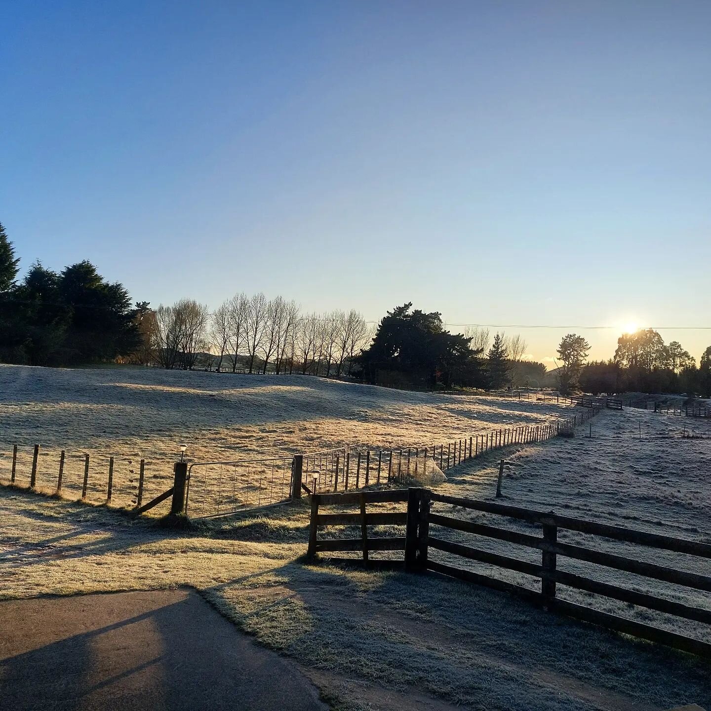 A frosty morning out here on our little property! Aren't these sunny days just so good for the soul!!

#foodie #lifestyle #rural #chefslife #almostspring #aucklandeats #privatechef #lovetauponz #greatlaketaupo #taupochef #taupofood