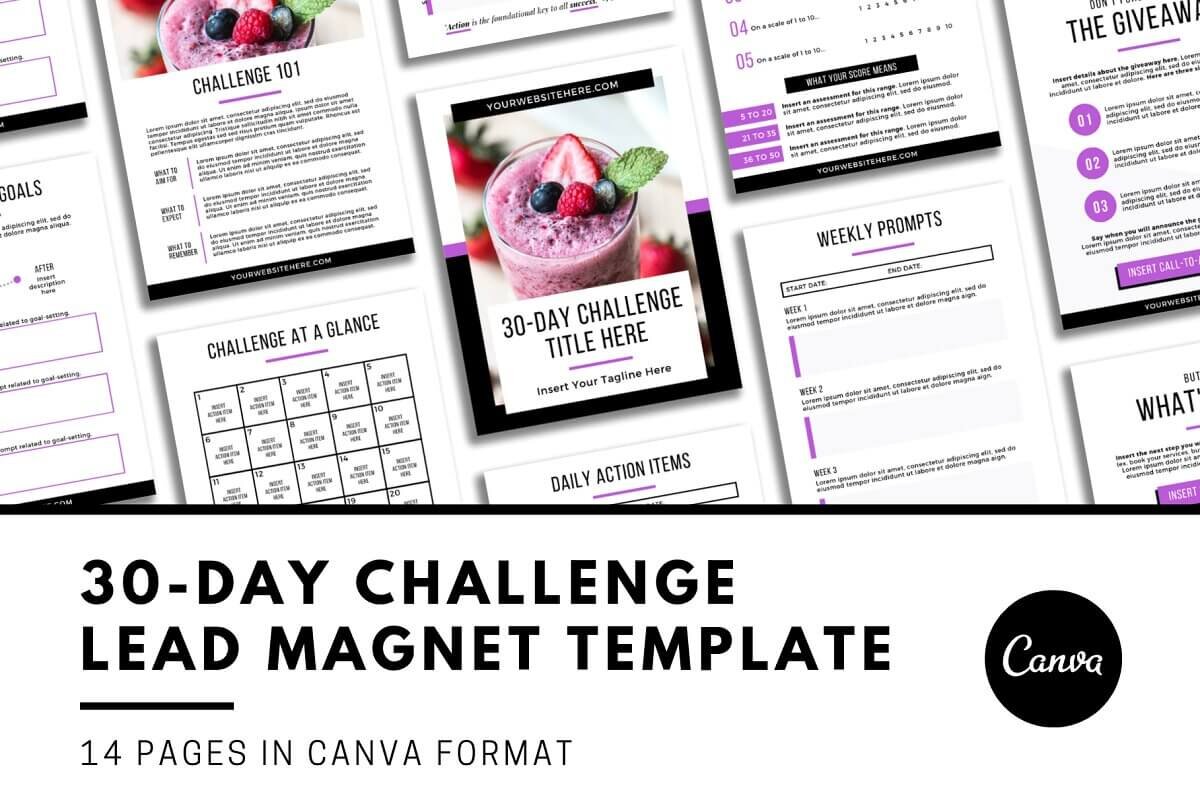 30 Day Challenge Canva Lead Magnet