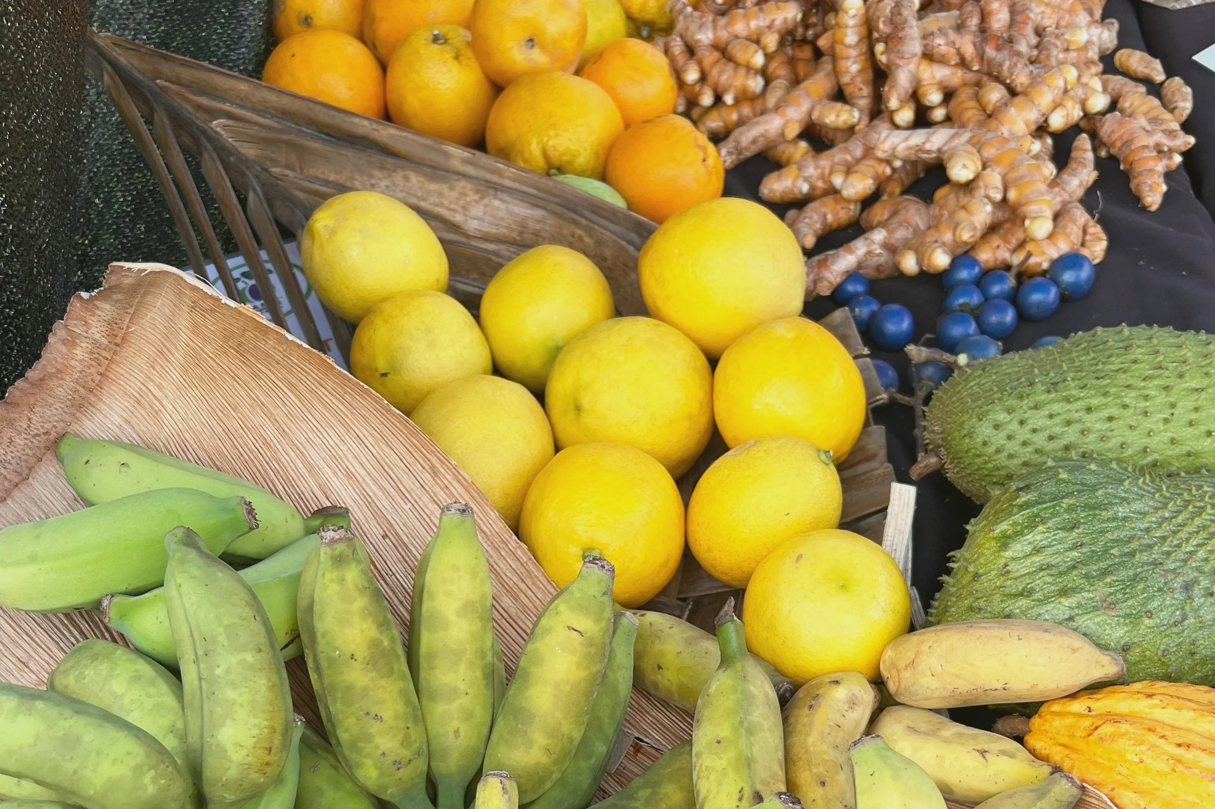 Hāna Community Kitchen — Hawaiʻi Farmers Union United