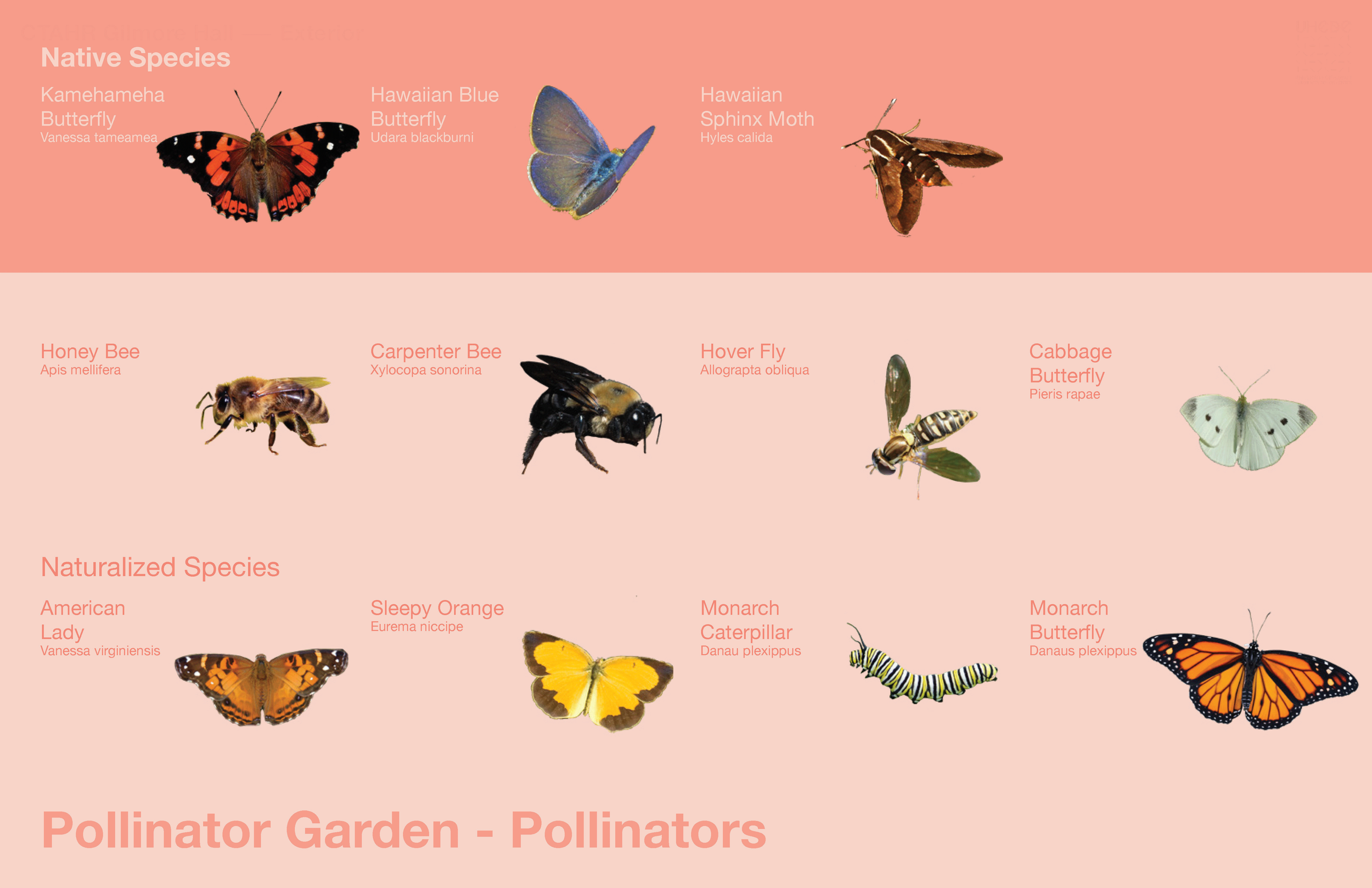 CTAHR-Gilmore_Exterior_Page_12.png