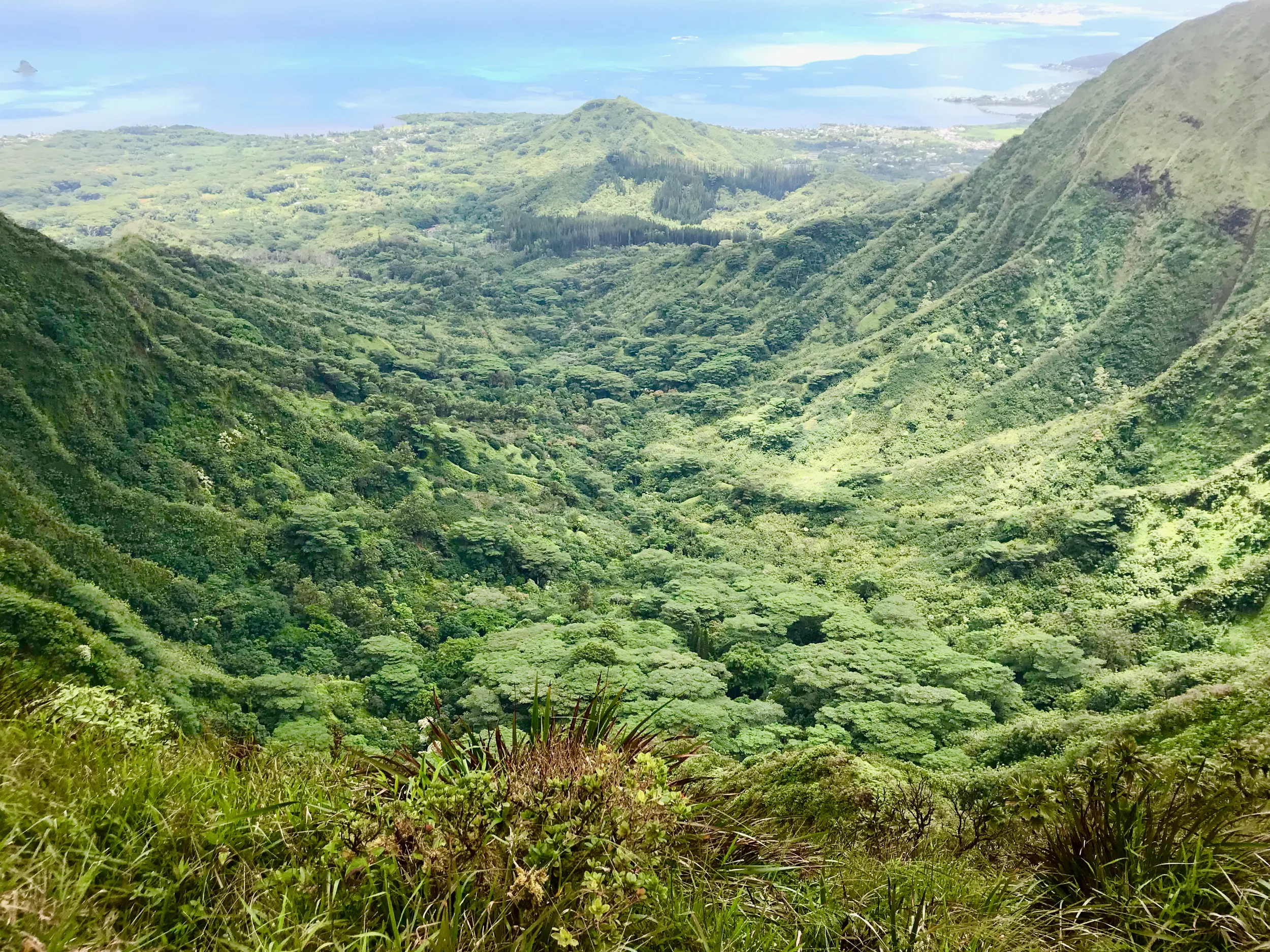 Waiāhole Valley Farmers Market