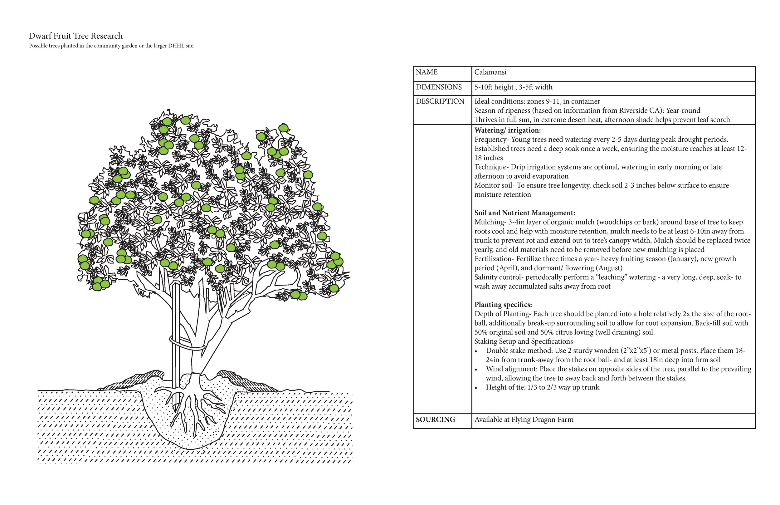 ARCH652_CDCSummary2_Page_01.jpg
