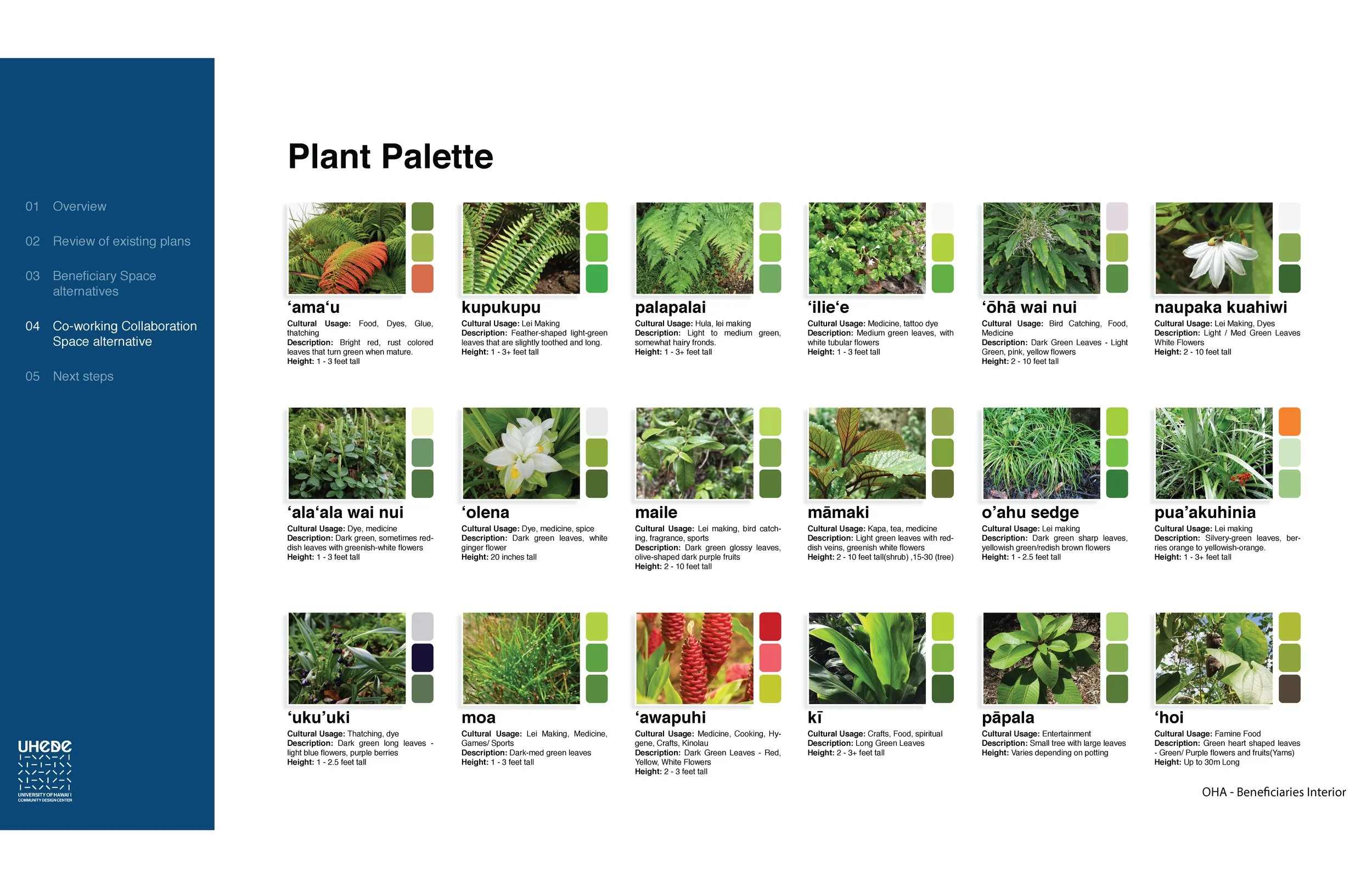 Plant Palette Draft Page.jpg