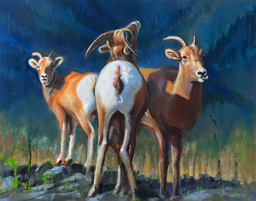 Attitude at Altitude – 16" x 20" – Oil on Birch Panel