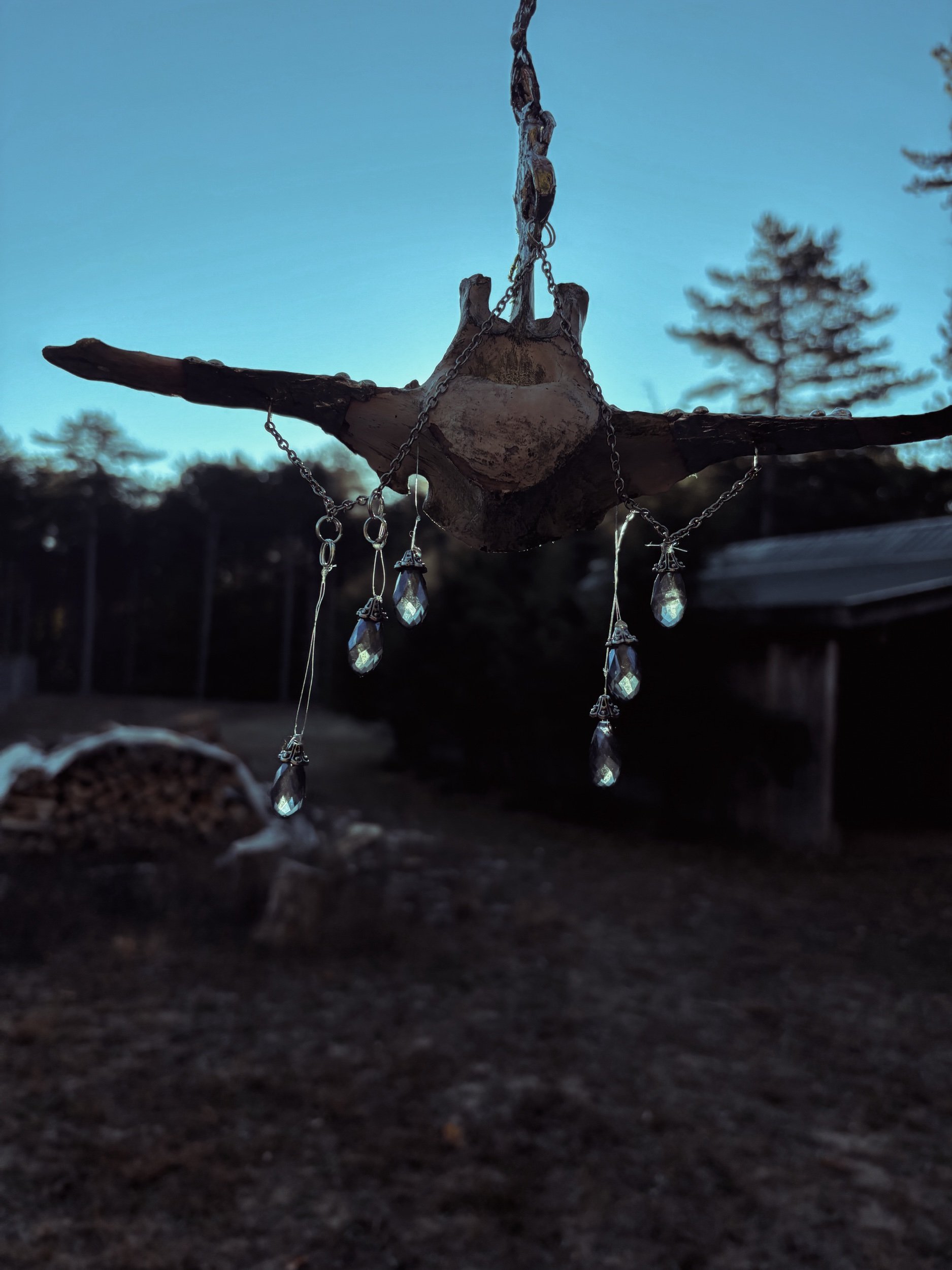 5F3651B4-C5DC-4547-9E48-29613B0E6C2F.jpeg