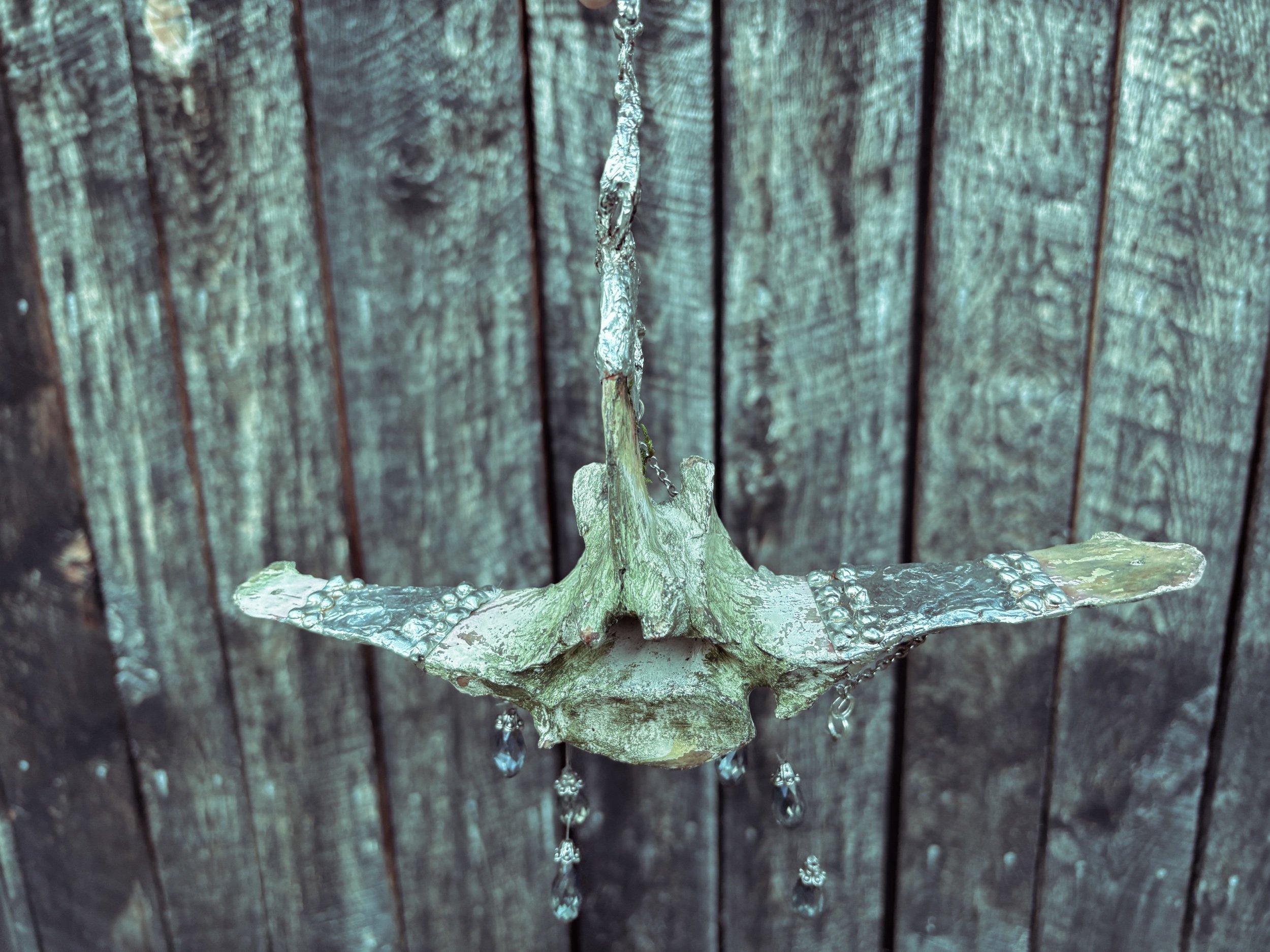 AEFACF42-F0CF-4015-961B-A17BF8B4E781.jpeg
