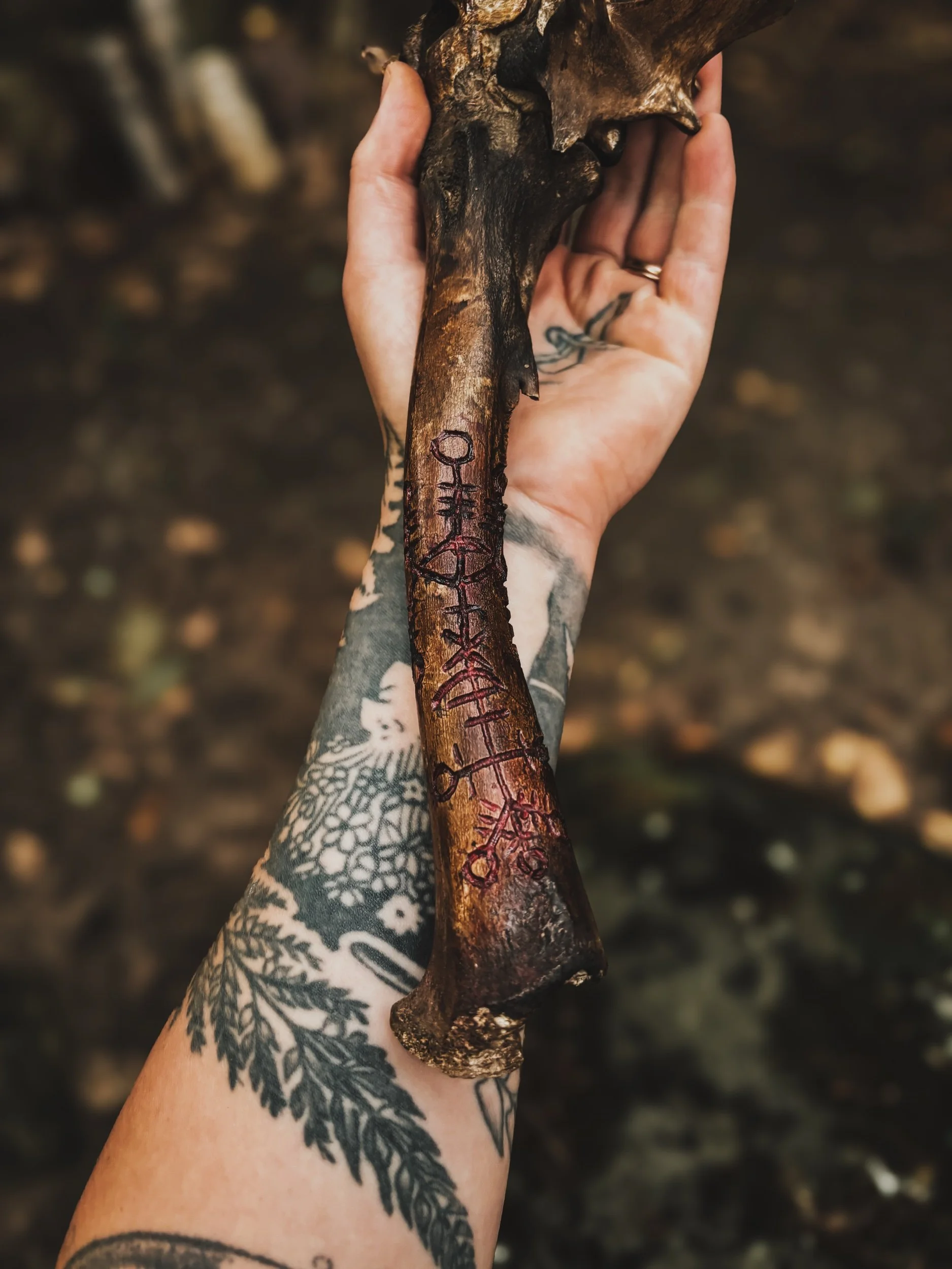 EE760127-4F31-42C0-9450-F4CC4639D3C0.jpeg