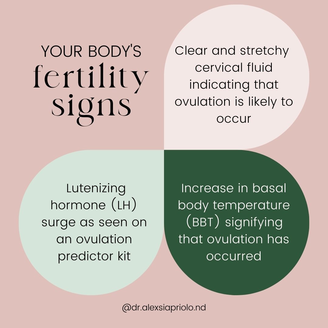 When someone starts the fertility journey, they may begin to pay attention to these 3 things that may happening to your body right now, and not on your period-tracking app:

⭐️ Cervical fluid - often happening after your period ends, this is a good i