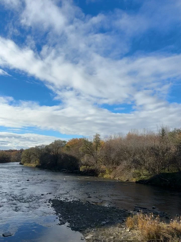 November round up 🍂
&bull; Taking a stroll whenever possible
&bull; Finishing up fall city programs 
&bull; Time in clinic helping the patient population that I love 
&bull; Making time for self care 
&bull; At home date nights while the kids are sl