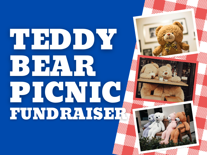 Teddy Bear Picnic