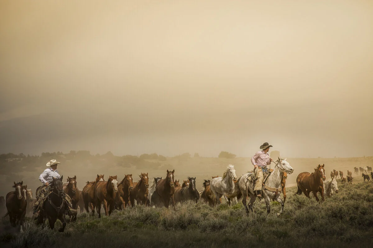 Bringing Them Home II