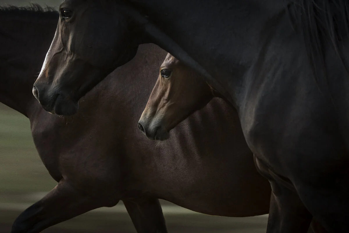 Mother and Child Reunion