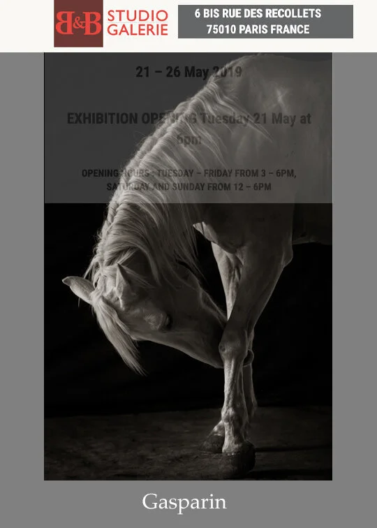 Galerie B&B Paris Group Exhibition sponsored by Print Swap