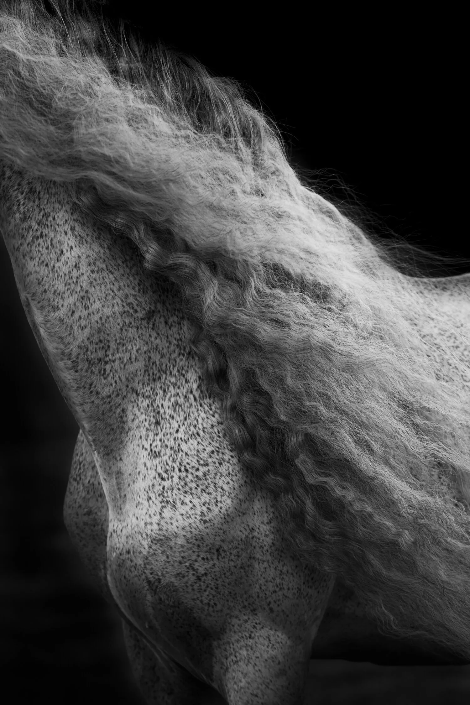 NEW!  Group Exhibition March 14-17 Sydney, Australia Hosted by Saatchi Art at The Other Art Fair