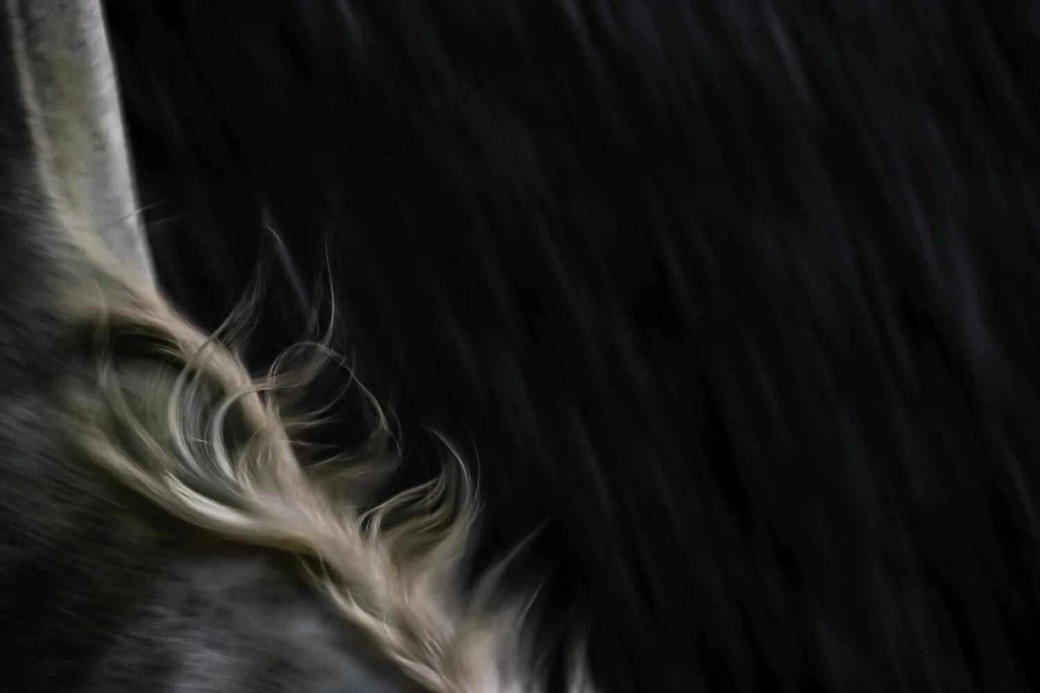 Featured Artist Tori Gagne