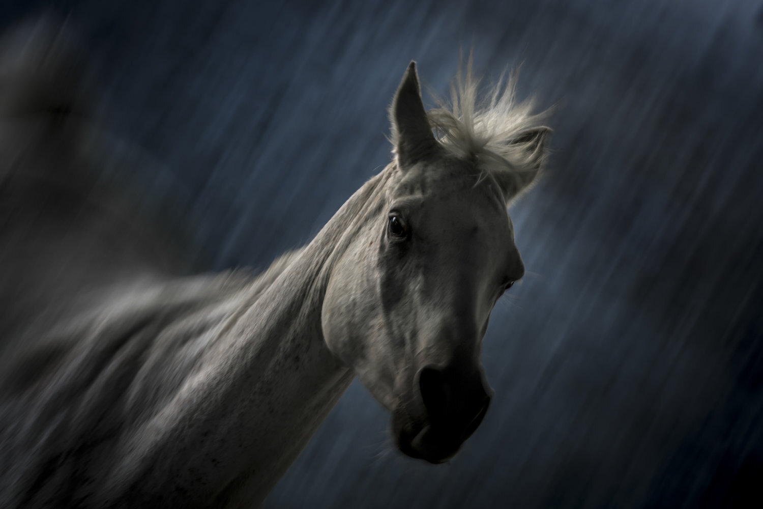 Featured Artist on Feature Shoot Blog 