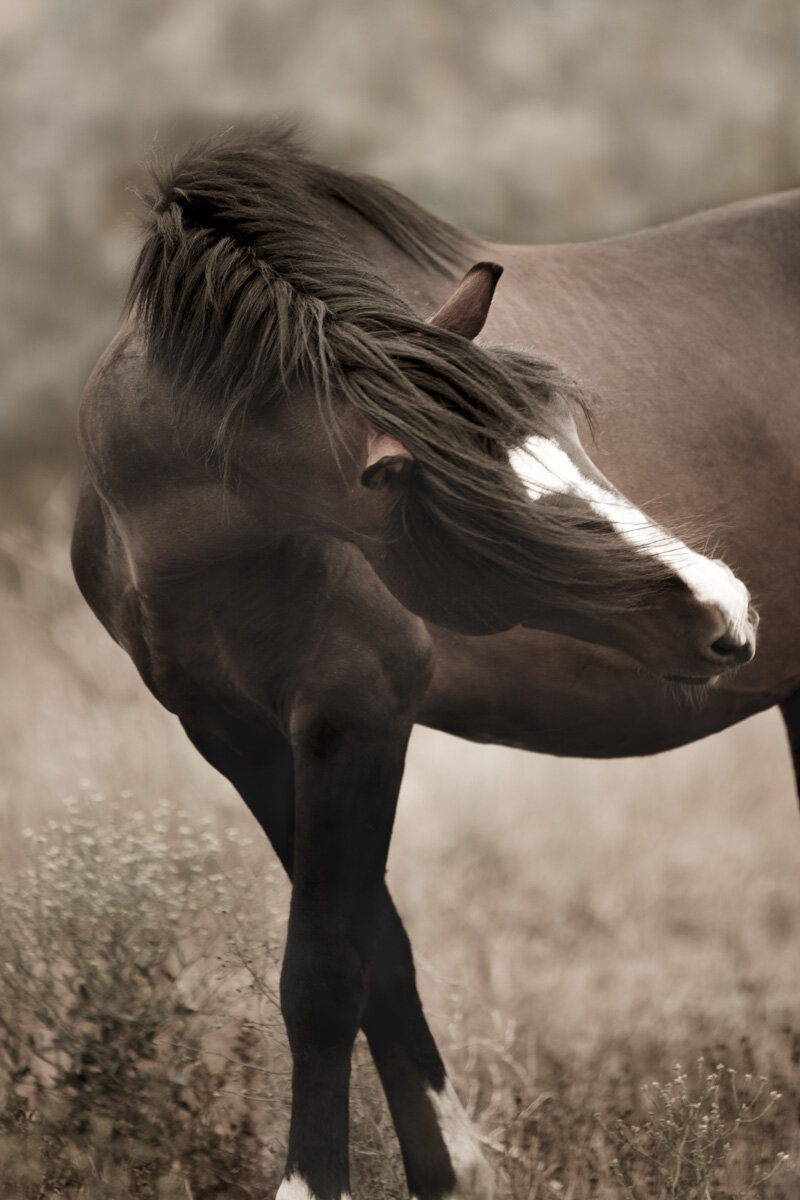 Revisiting Images with Fresh Eyes. Some days are good hair days...