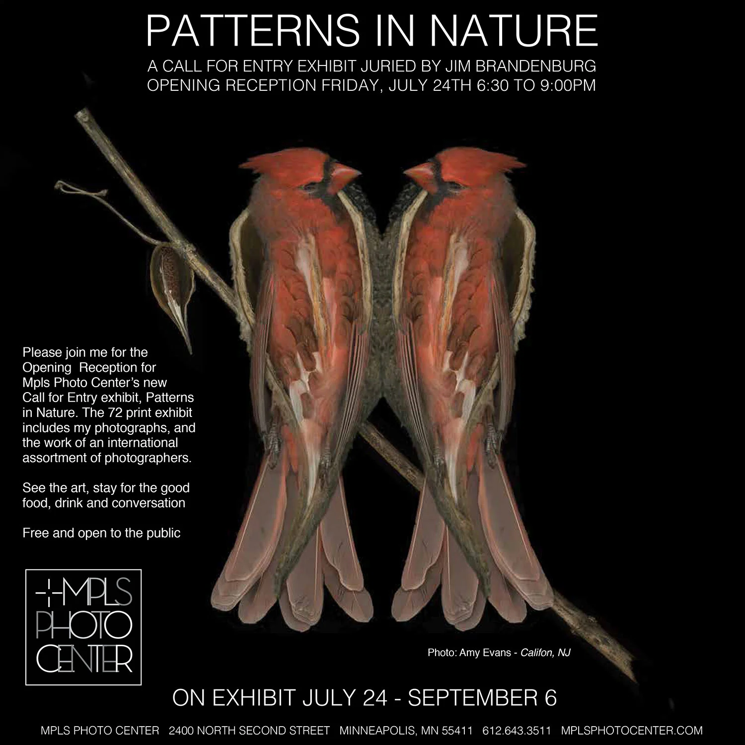 Patterns in Nature Opening Night July 24th 6:30 to 9:00 PM