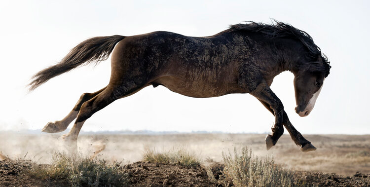 International Color Awards Honorable Mention and Nominee image