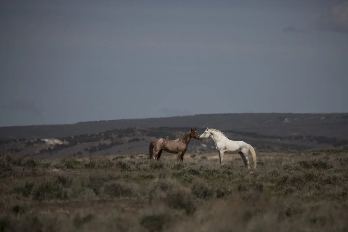 Sandwash basin-1-2.jpg