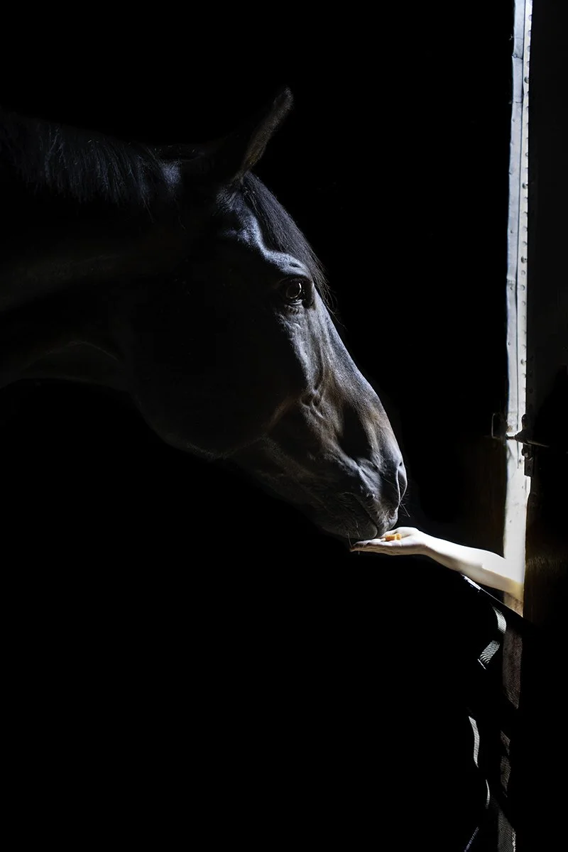 Spencer Gets A Treat
