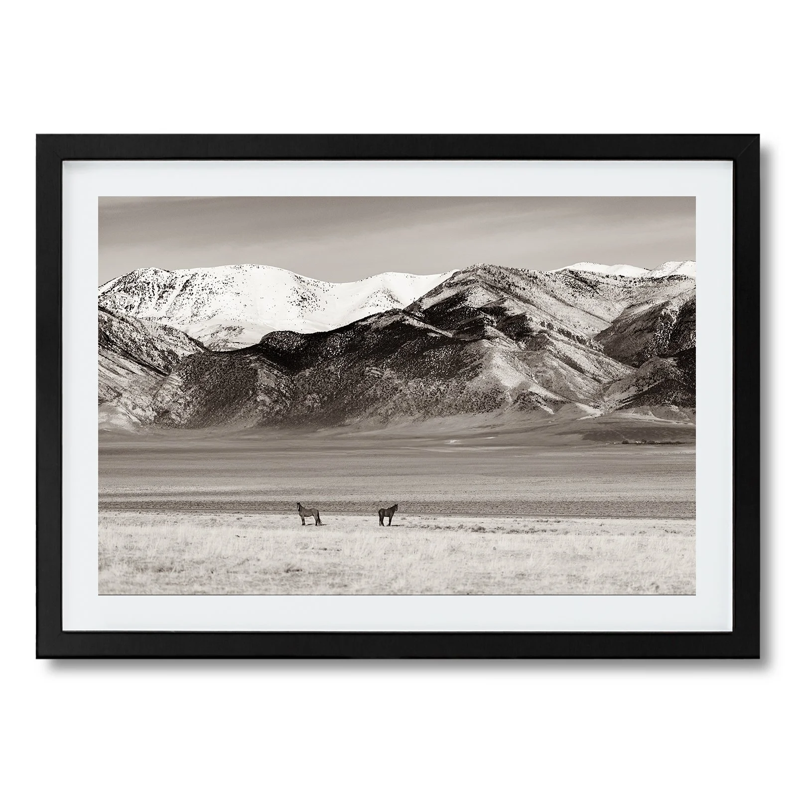 Antelope Valley Wild Stallions_Framed_Print_HORIZONTAL_BLACK copy.jpg