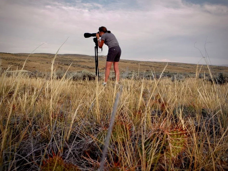 Person using a telescope on a tripod in a grassy field.