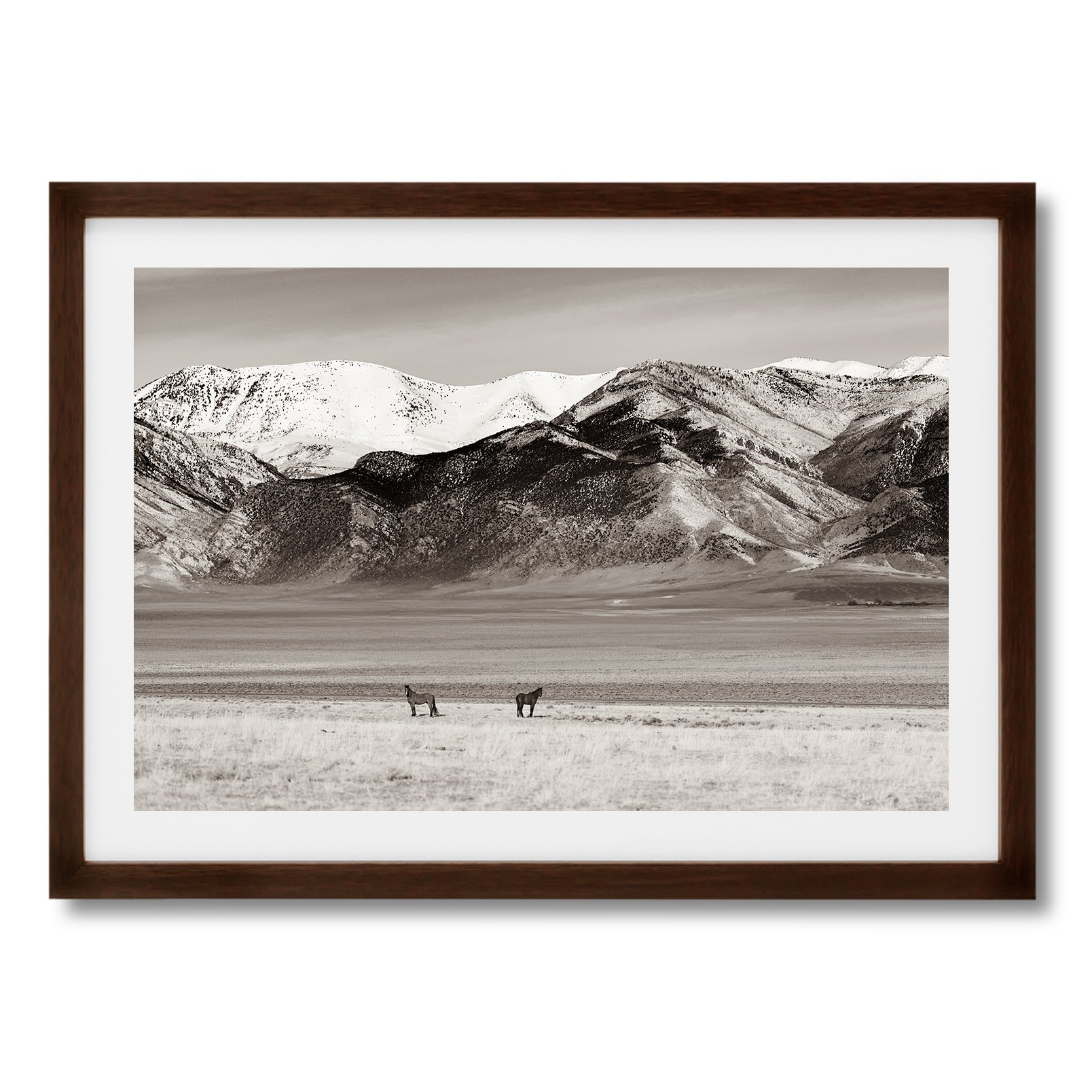 Antelope Valley Wild Stallions_Framed_Print_HORIZONTAL_DARK_WALNUT.jpg