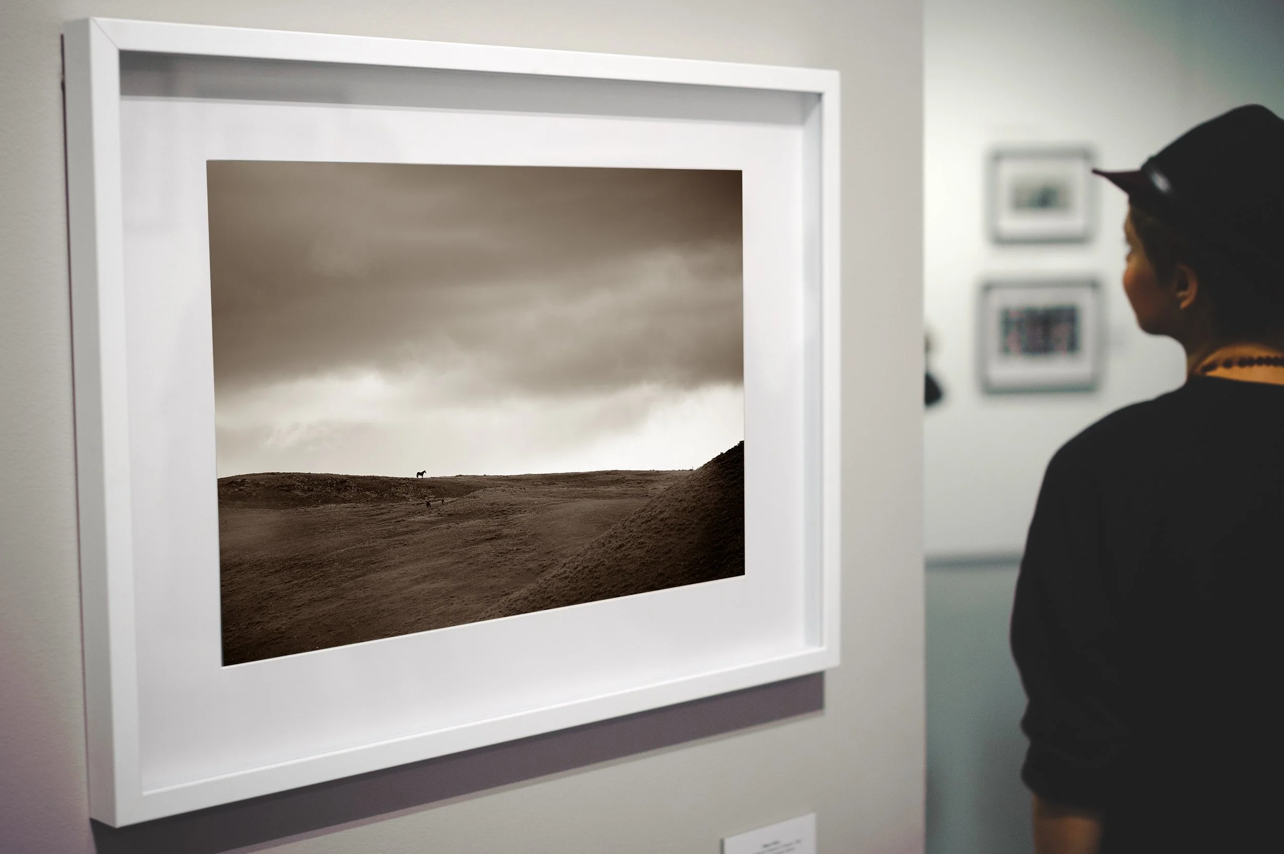 Texas Photographic Society Members Show