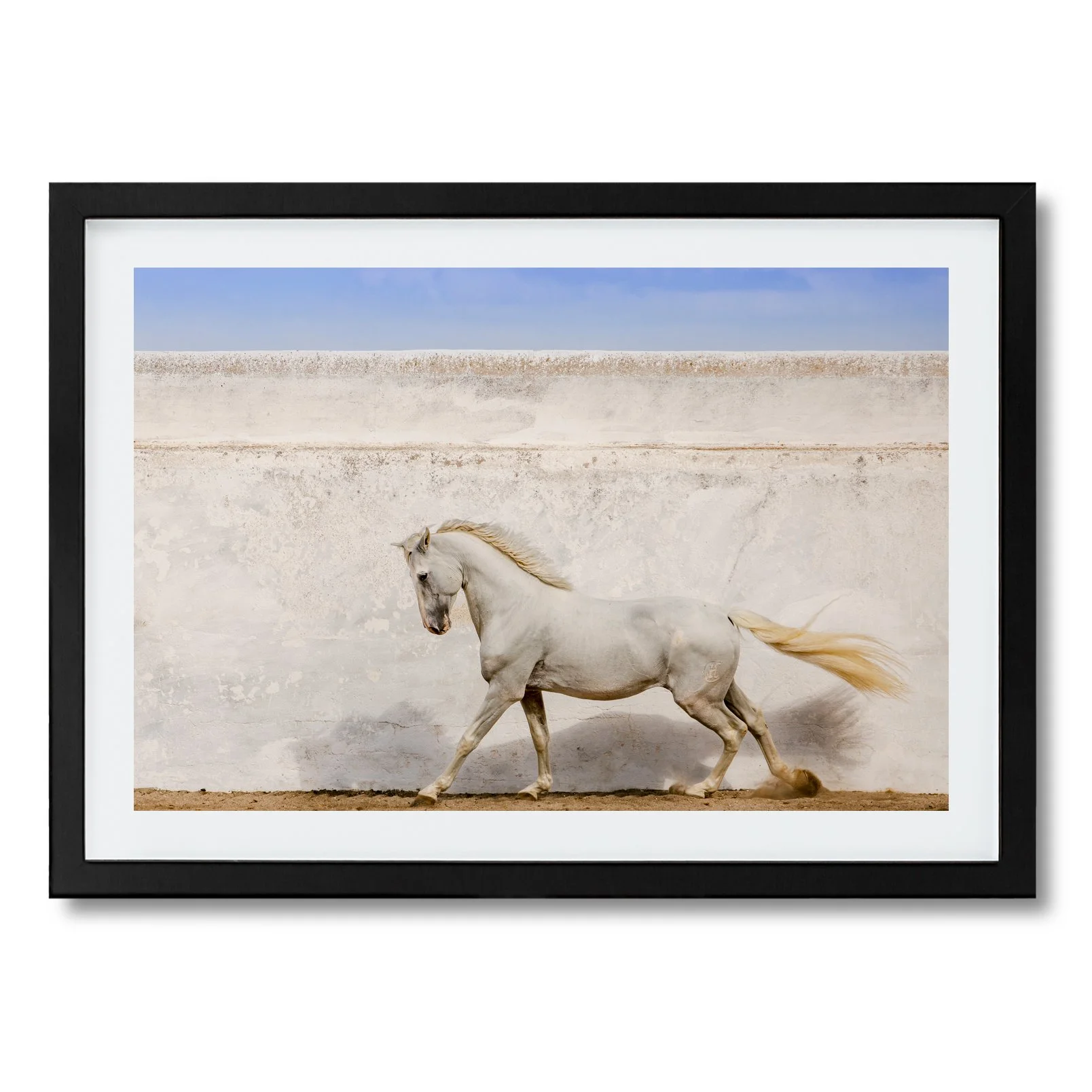 Sagaz_Framed_Print_HORIZONTAL_BLACK copy.jpg
