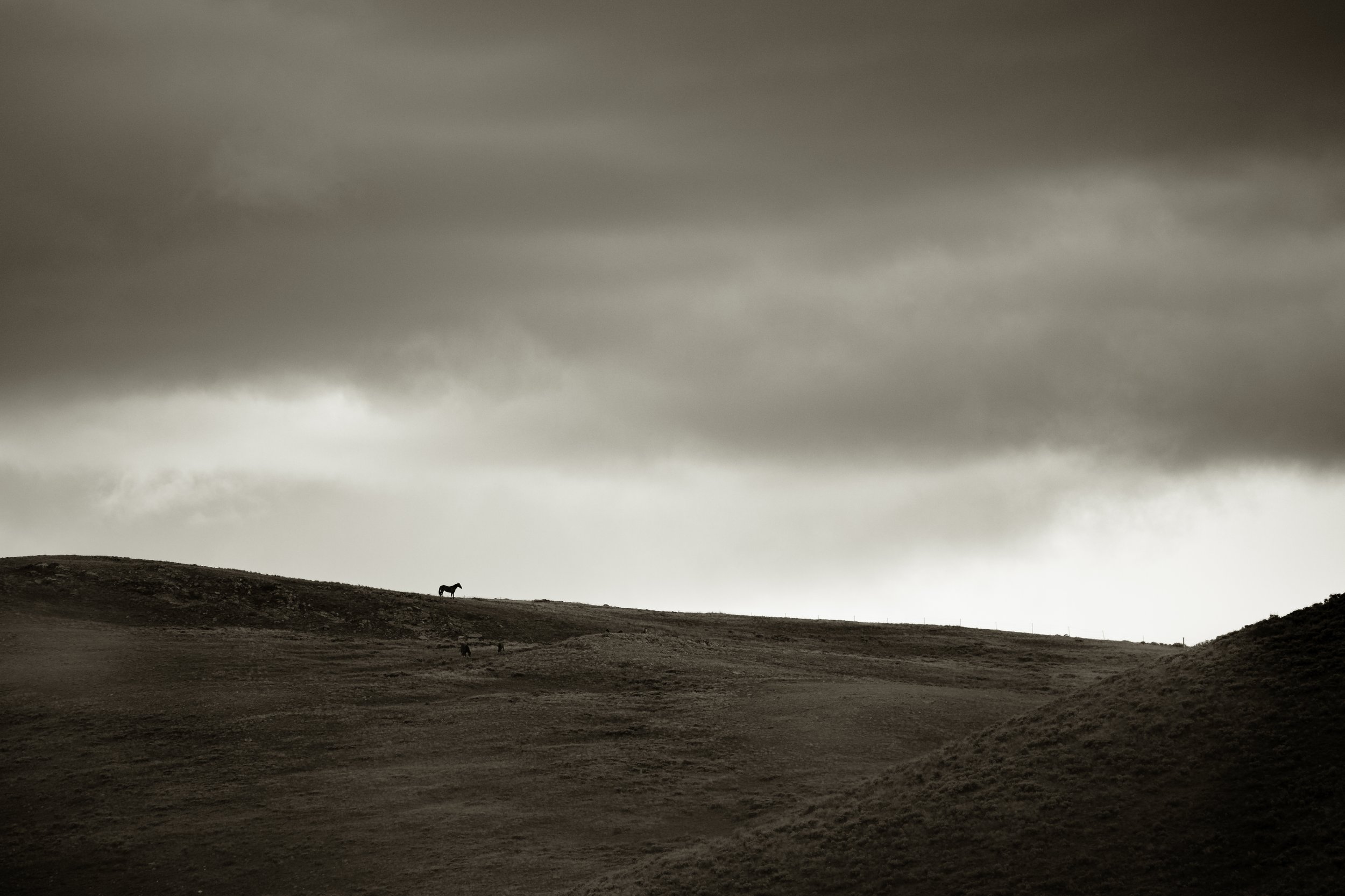 Silhouette of a horse on a hill under cloudy sky