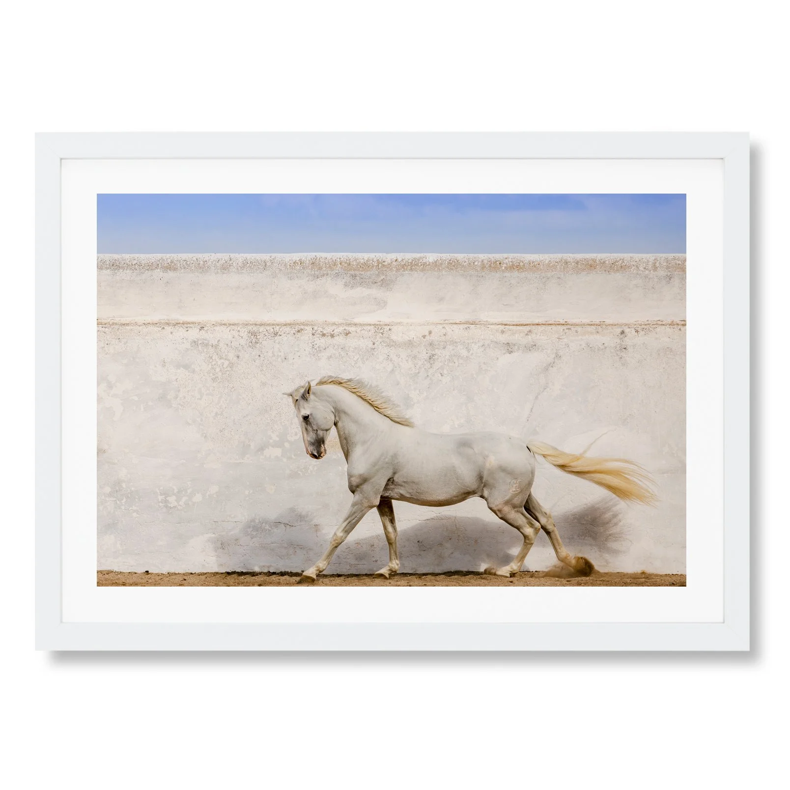 Sagaz_Framed_Print_HORIZONTAL_WHITE.jpg