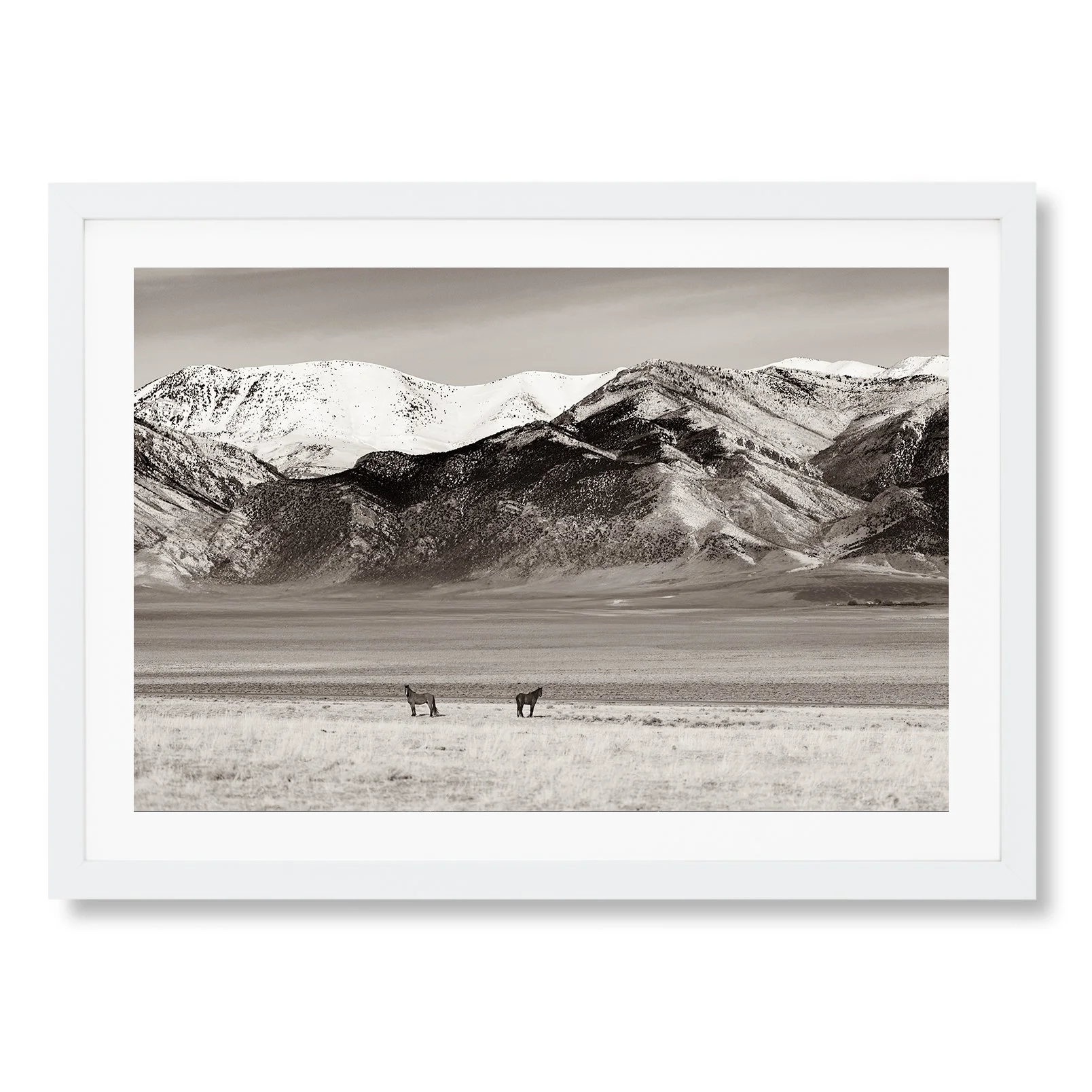 Antelope Valley Wild Stallions_Framed_Print_HORIZONTAL_WHITE copy.jpg