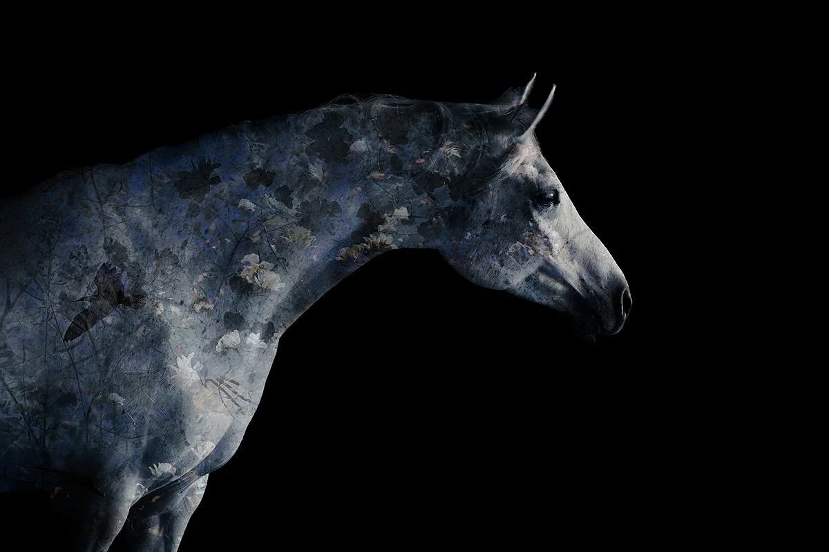A side view of a horse with a floral and nature-inspired pattern overlay against a black background.