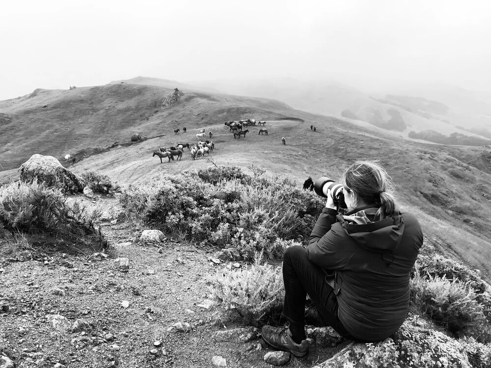 Black and white photo of a landscape with a person photographing wild horses on a grassy hill.